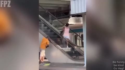 Watch until the end, you will love it!!!!