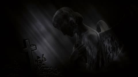 We Shall Judge Angels