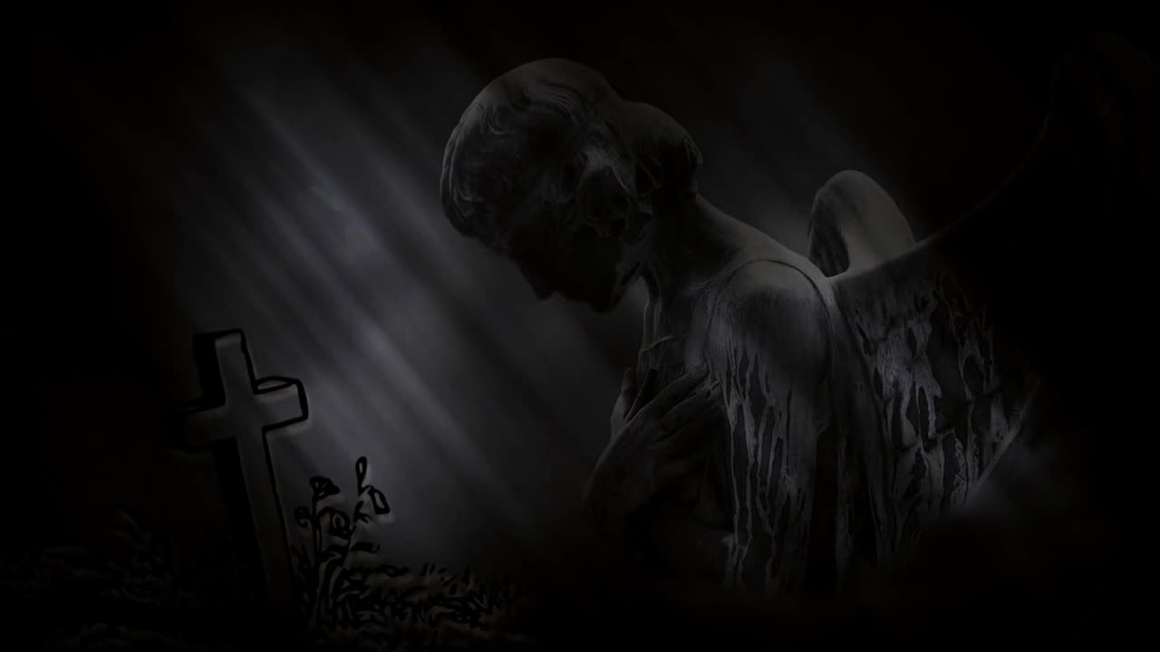 We Shall Judge Angels