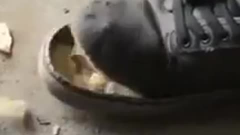😋👀 That's Not What You Think You're Going to See... | FunFM