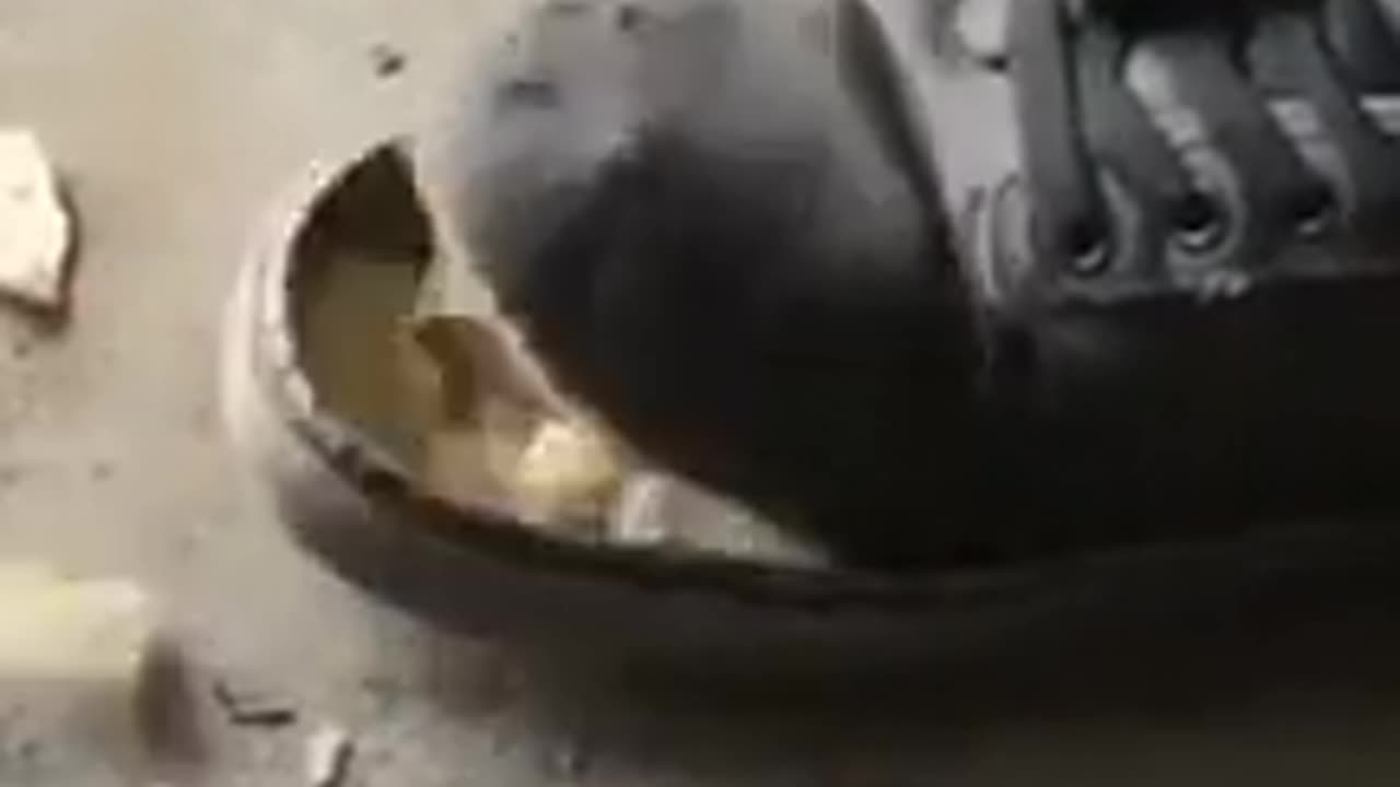 😋👀 That's Not What You Think You're Going to See... | FunFM