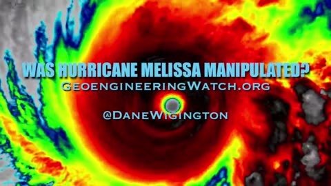 Rothschild BlackRock WEF Power...