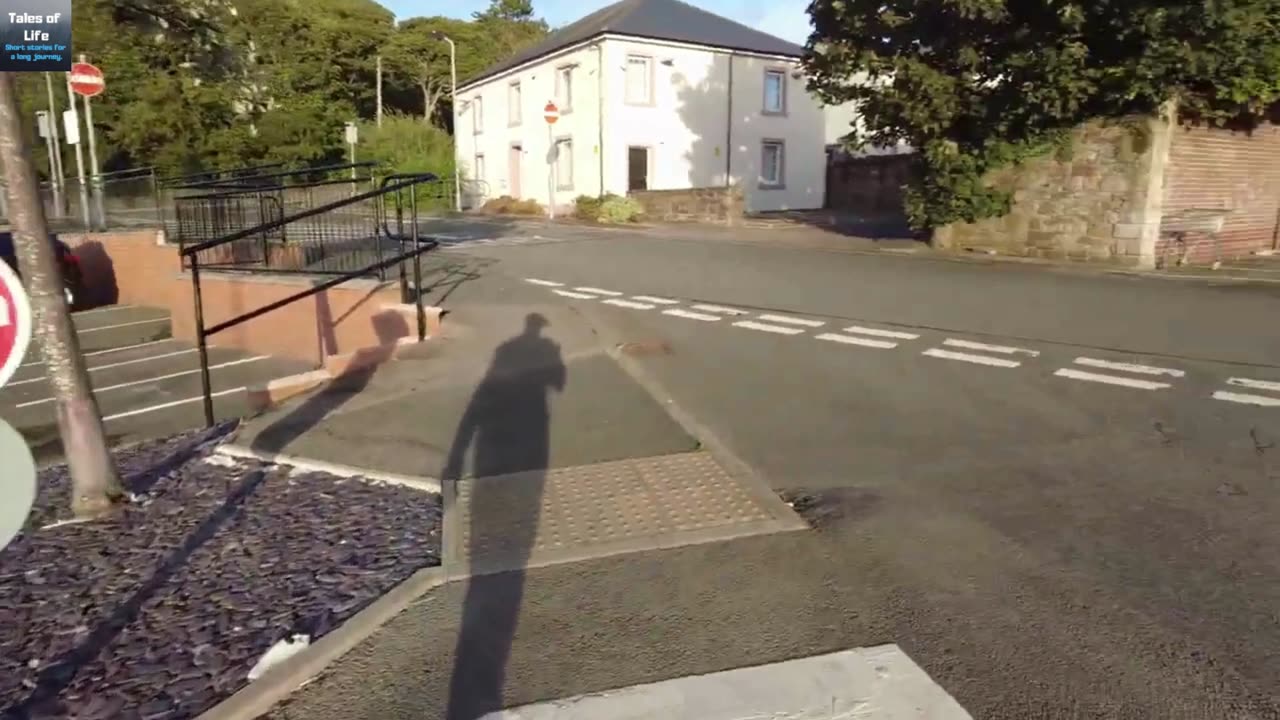 Whitehaven Wander 28/8/25