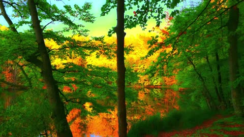 Green Radio: 24/7 Concert of Birds and Nature Sounds