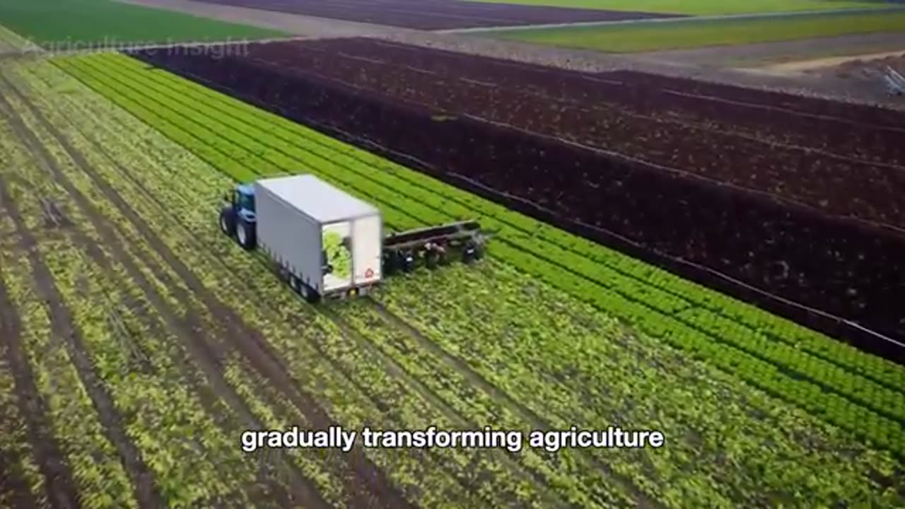 How Millions of Snails Are Processed – Incredible Snail Farming For Meat & Cosmetics