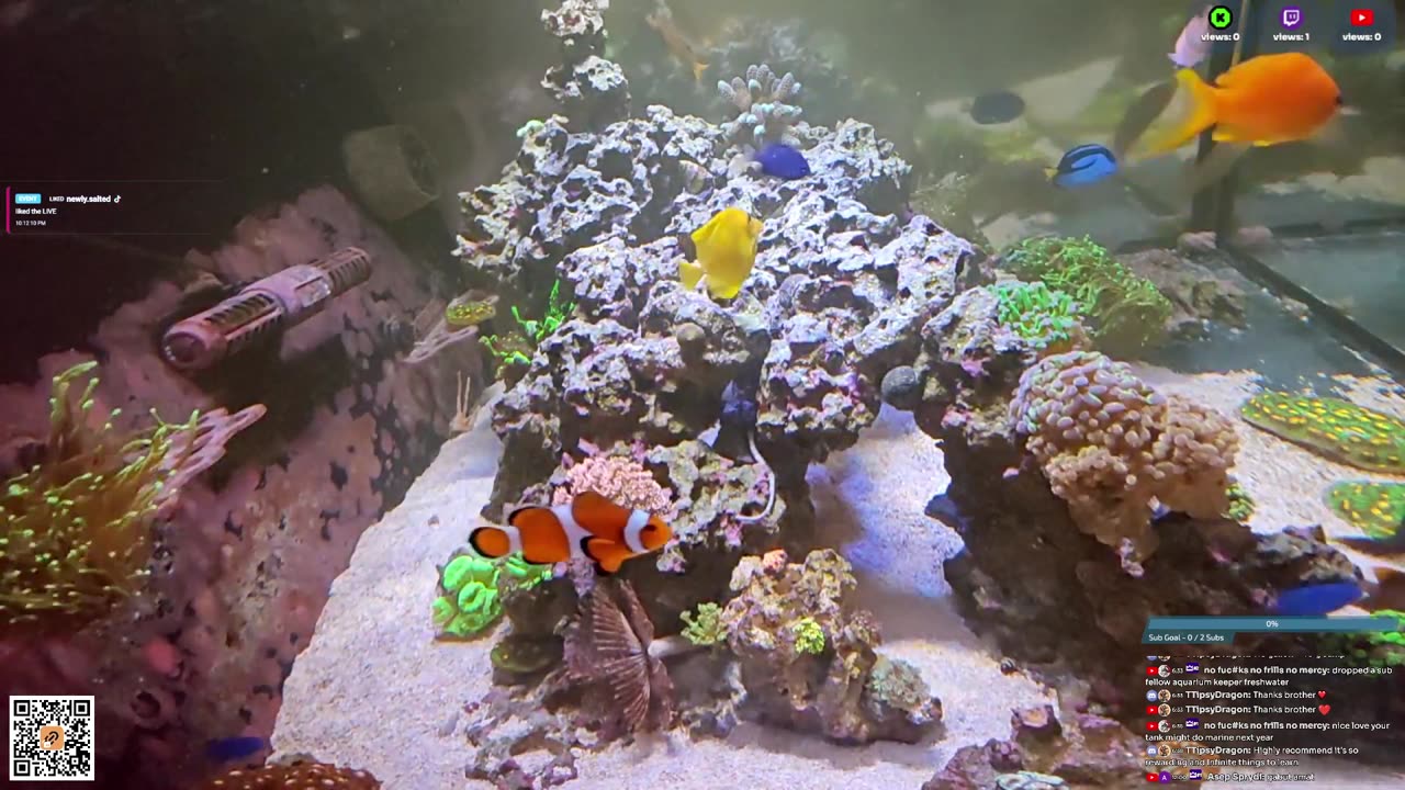 24/7 Real Live Reef Stream