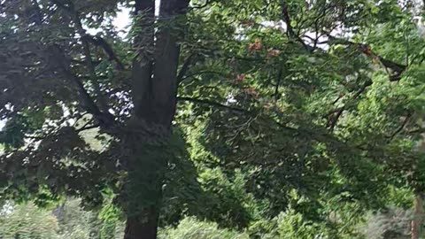 A Walk Through the Old Cemetery: Where Eternity Lives