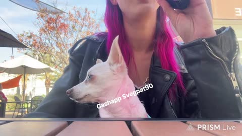 12/21/25 Vegan Patriot VOD: "how to apply makeup while homeless TBH"