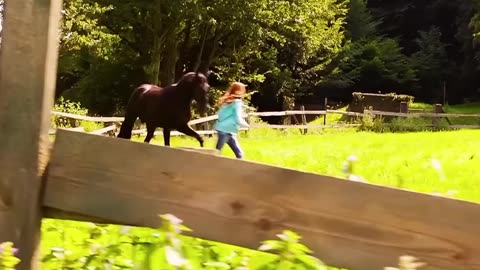 The Girl Who Tamed the Untamable Horse 🐎✨#shorts #movieclips