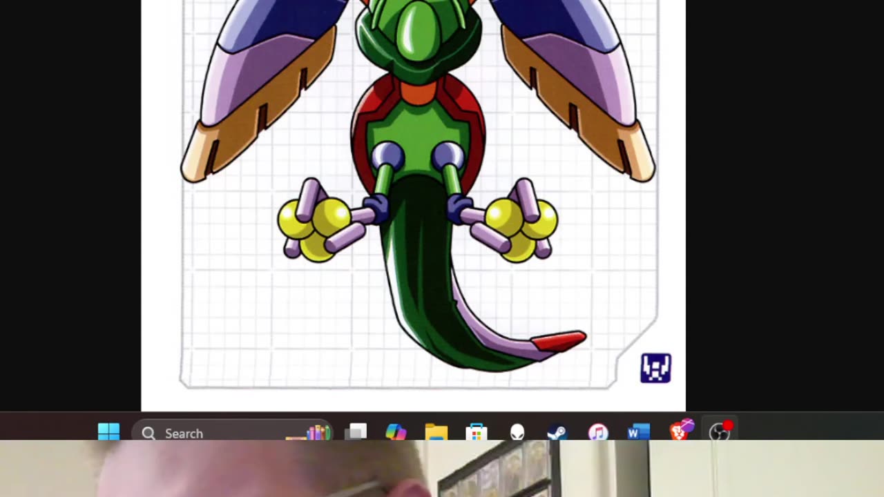 Medabot Thoughts: Pheysant
