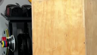Drop Testing Snode AD80 Adjustable Dumbbells: Did They Make It?