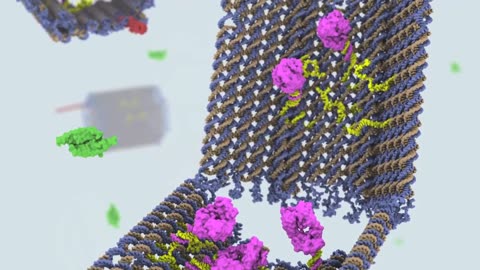 A cell-targeted, payload-delivering DNA nanorobot developed at the Wyss Institute (2013) that can trigger targeted therapeutic responses. This novel technology could potentially seek out cancer cells and cause them to self-destruct