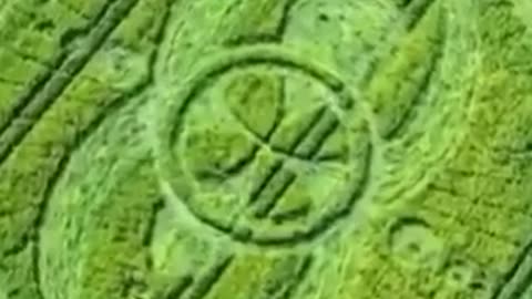 🚀👽 Crop Circles: The Baffling Phenomenon | TheTruthAbove