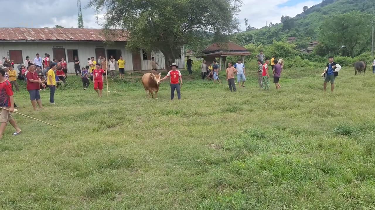 Nyuj Sib Nraus