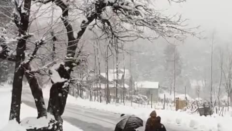 Unwind in the Hills with Kullu Manali Tour Package