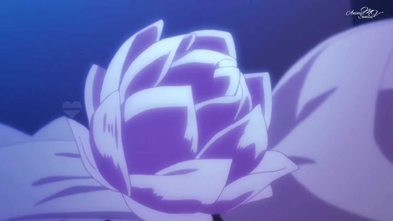 Symphony--AMV