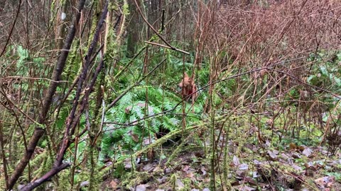 edith moulton trail chase 2390823490