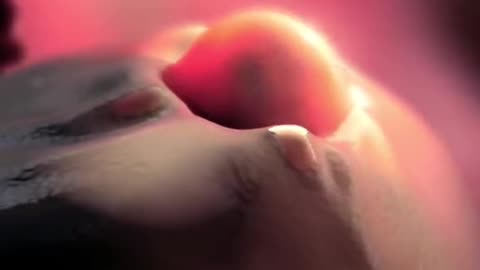 Female Menstrual Cycle 3D Animation