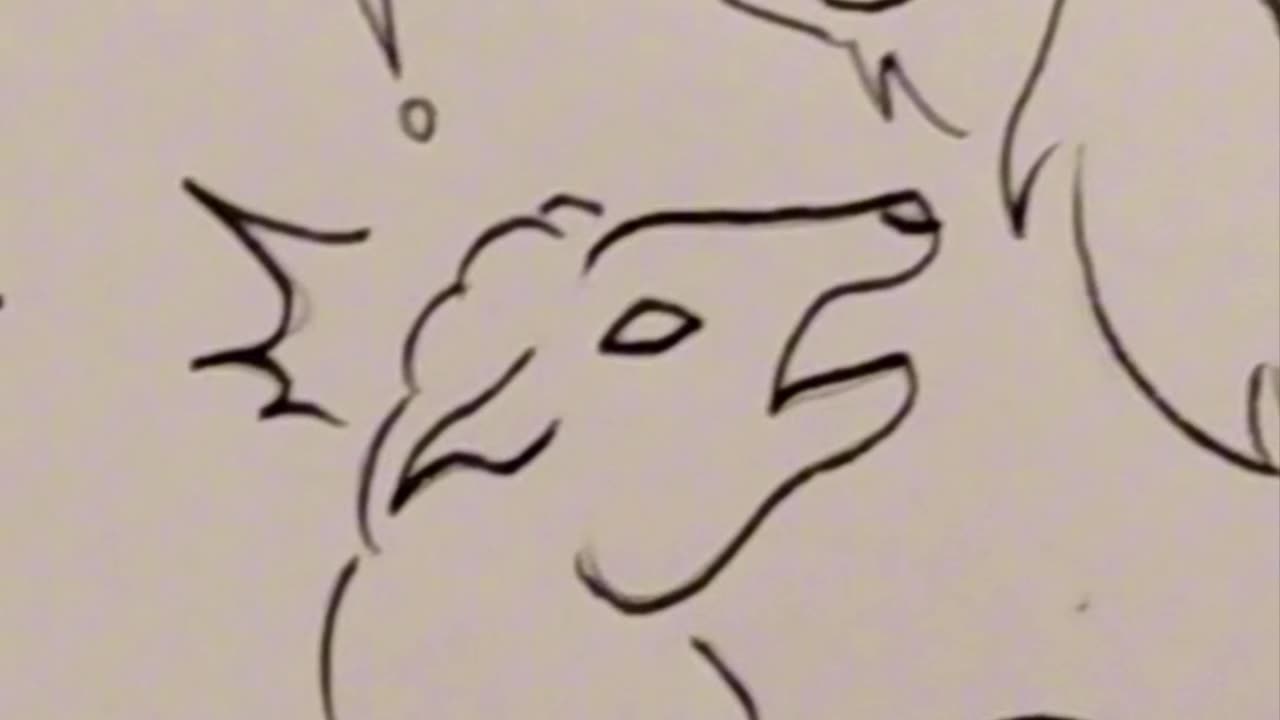 Why Christian Community Is So Important 🐑