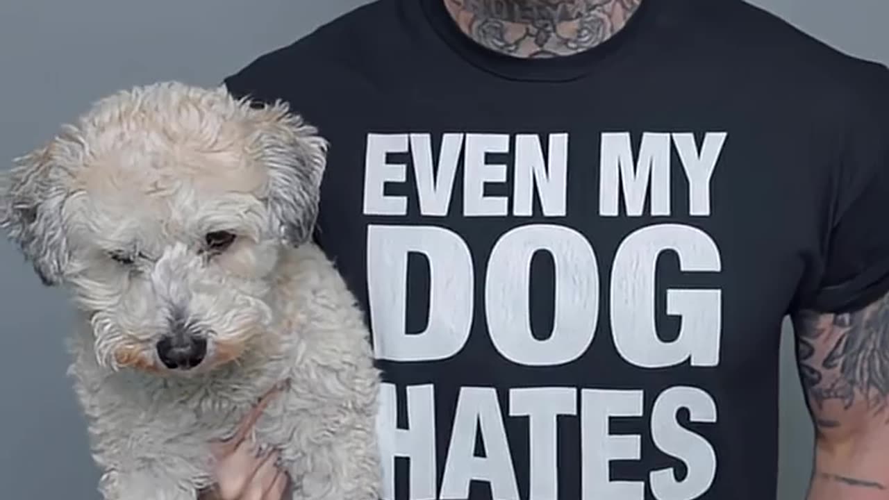 Tom MacDonald - GAVIN NEWSOM DISSED ME BACK 😂