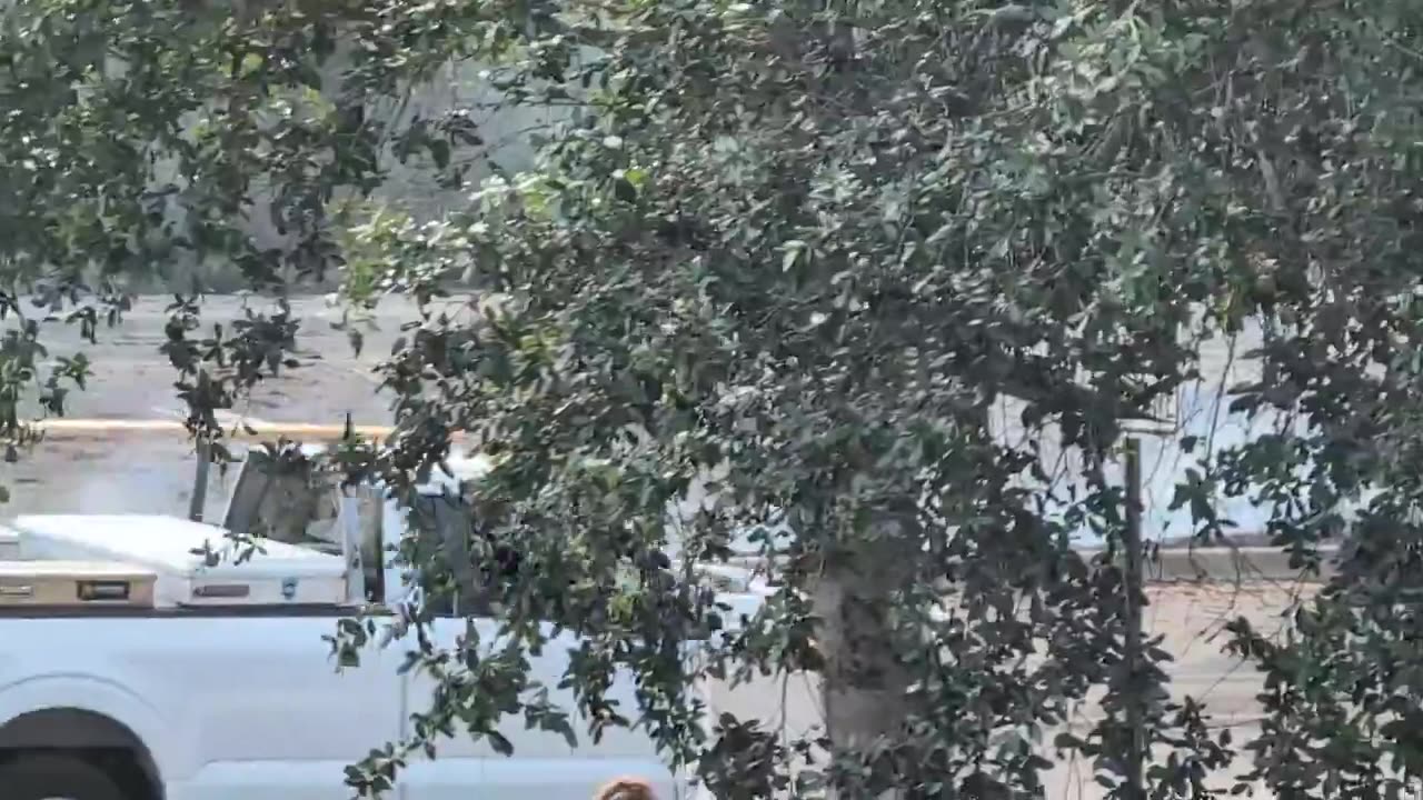 Small plane crashes in Boca Raton, Florida