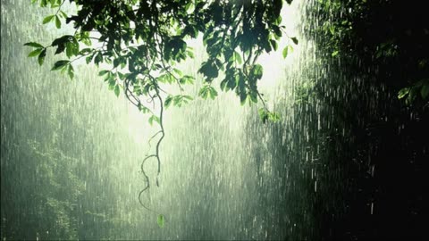 Audio Bible With Rainfall | 1 Hour Loop | KJV Scriptures For Anxiety & Depression