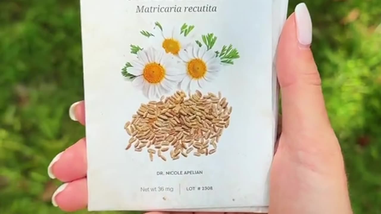 This Medicinal Garden Kit Could Replace Your Pharmacy!