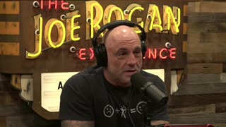 Academics Guarding History's Truth - Michael Button and Joe Rogan #academia #academic #gatekeeping