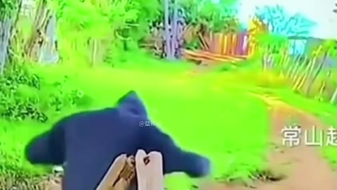 funny moments