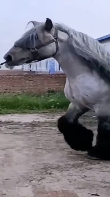 My Experience with Specific Policy Areas