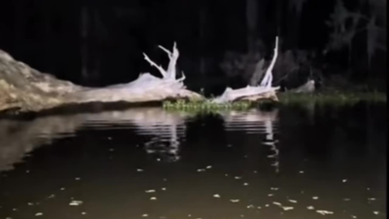 😨💥 Unexplained Noises and Shadows: A Poltergeist's Wrath? | TheHauntingHour