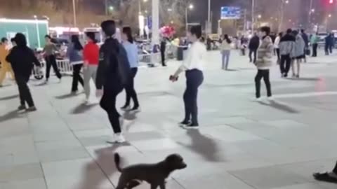 Funniest animals 😂