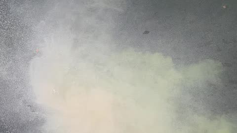 Returning Aunt Janet To The Water