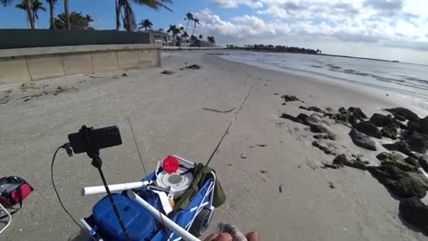 a pesca anche un bel drum fish oltre agli sheepshead pescati tutti con gli shrimp.f270_part8