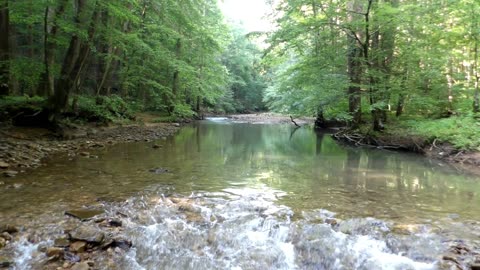 #AppalachianLife #LovingIt #OutInTheCountry #River #Peace #Nature