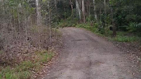 Terra Australis States Assembly - Why Assemble Part 3