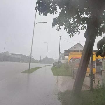 Caught in a Downpour: Even a Dog Wouldn't Be Out!