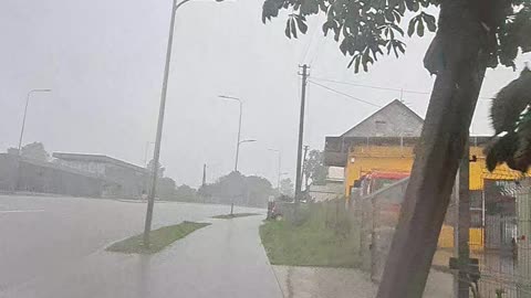 Caught in a Downpour: Even a Dog Wouldn't Be Out!