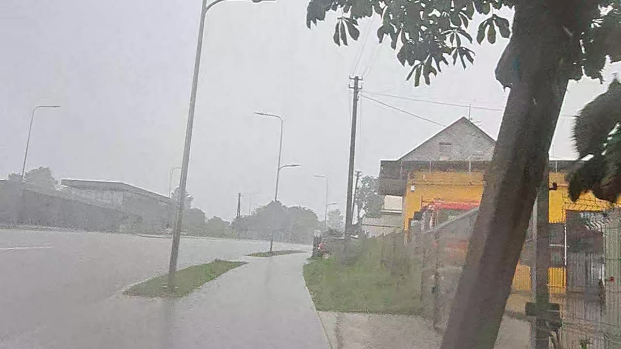 Caught in a Downpour: Even a Dog Wouldn't Be Out!