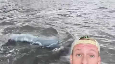 New footage captures Mermaid/underwater alien like creatures off the coast of Chile?