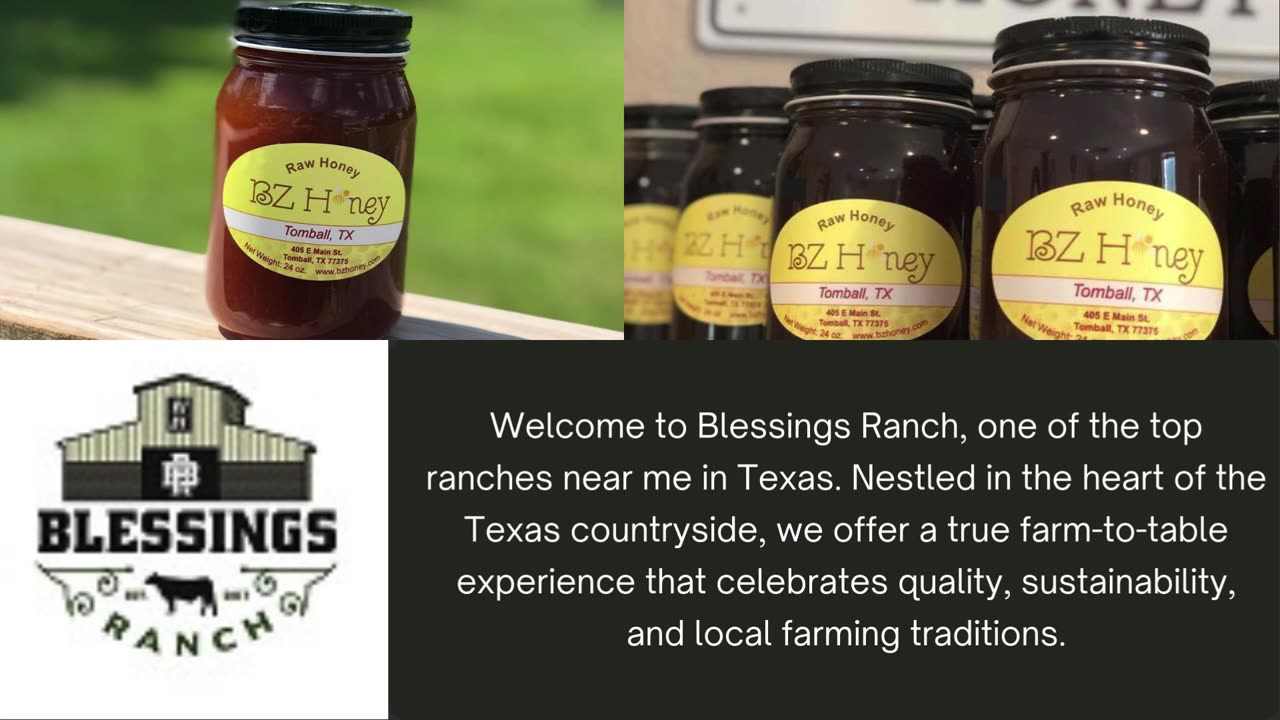 Top Ranches Near Me in Texas – Visit Blessings Ranch