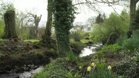 Beechgrove Garden 2025 episode 5