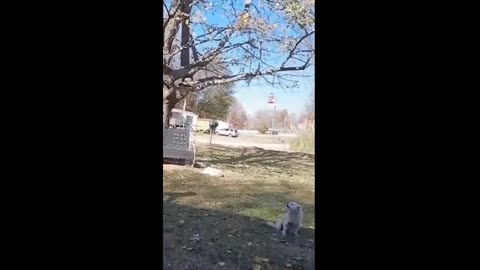 When Life Glitches in Real Life 🤣