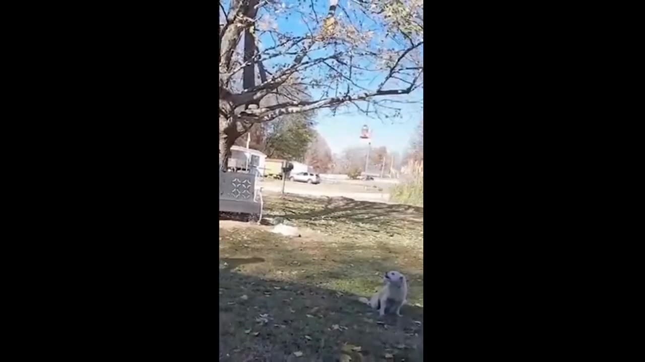 When Life Glitches in Real Life 🤣