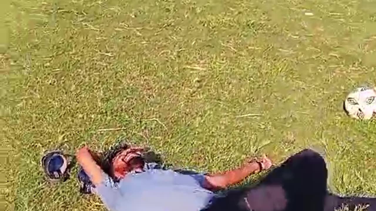 Fanny video