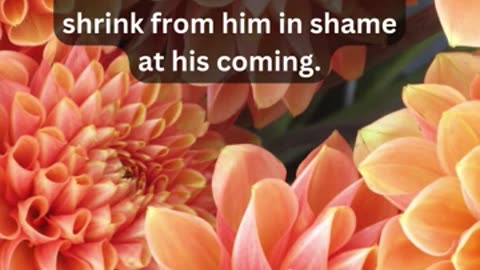 Journey of faith and spiritual growth 1 John 2:28 Daily Bible Verse