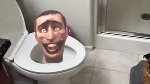 Skibidi Toilet is REAL!! #skibiditoilet #toilet #shorts