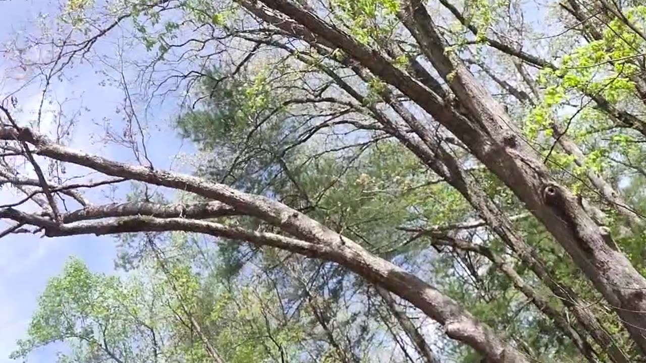 Set up for upcoming long distance cycling trip