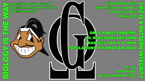 Gigaohm Biological High Resistance Low Noise Information Brief