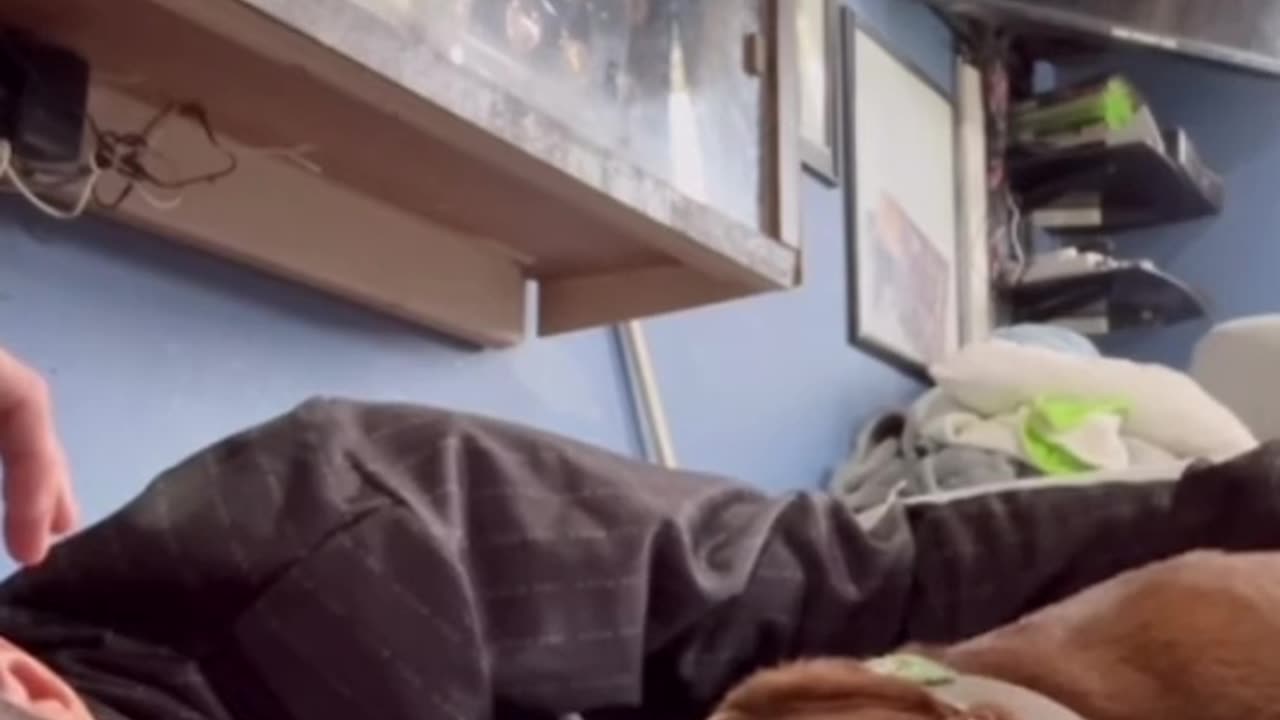 rest in peace hulk gone but not forgotten